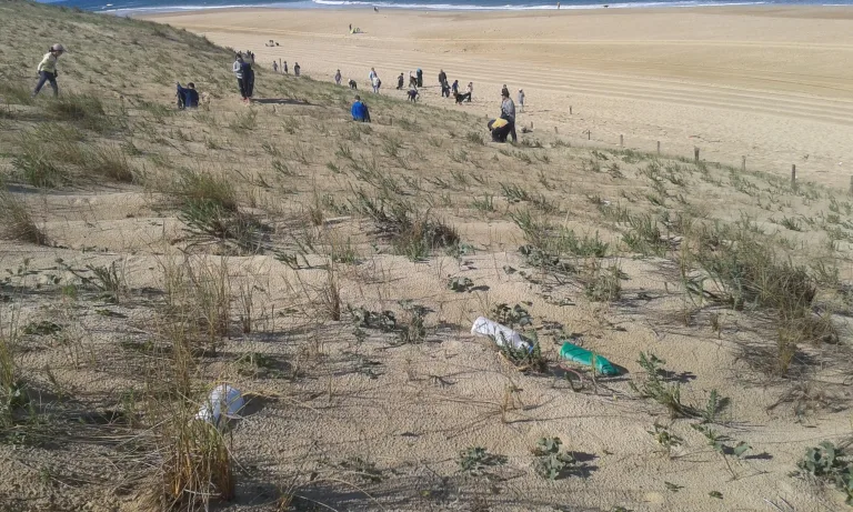 Photo de Chantier éco-citoyen : nettoyage de la plage