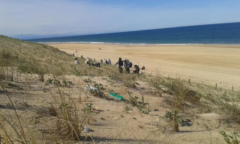 Photo de Chantier éco-citoyen : nettoyage de la plage