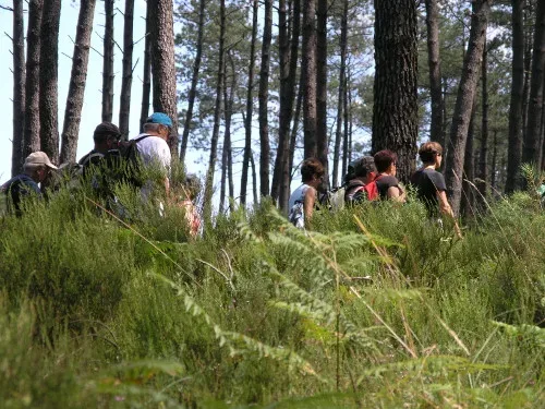 Photo de La Marche contre le cancer