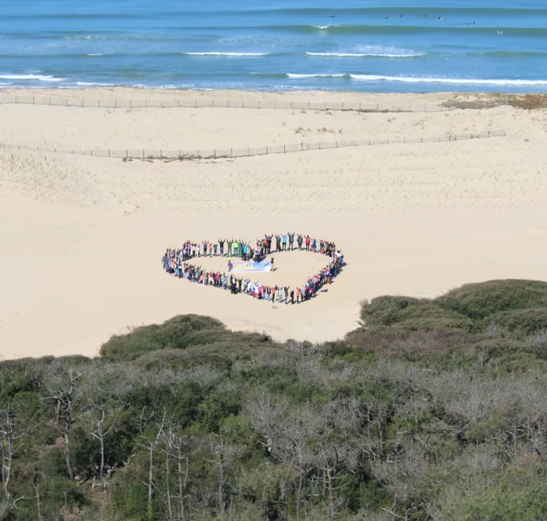 Photo de Chantier éco-citoyen : nettoyage de la plage