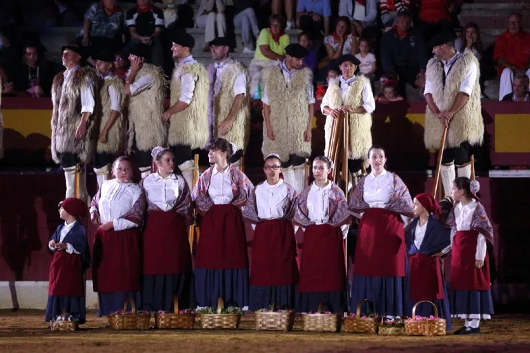 Photo de Spectacle Landes Emotions