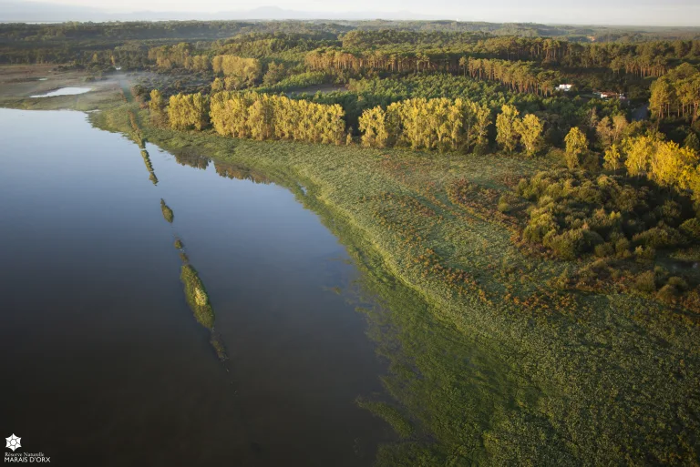 Photo de Randonnée naturaliste au marais d’Orx