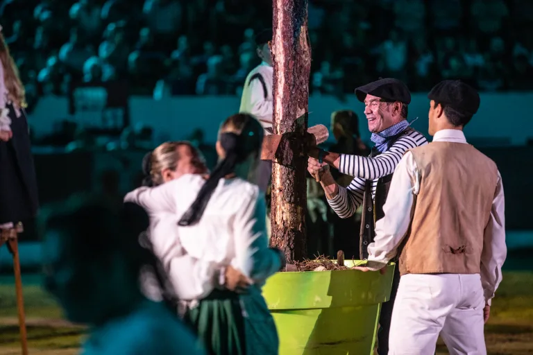 Photo de Spectacle Landes Emotions