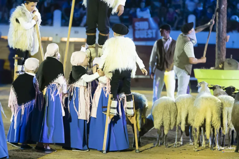 Photo de Spectacle Landes Emotions