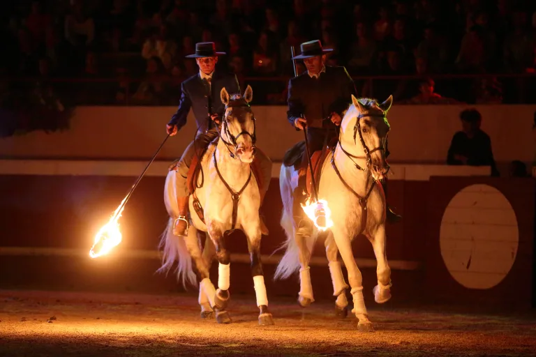 Photo de Spectacle Landes Emotions