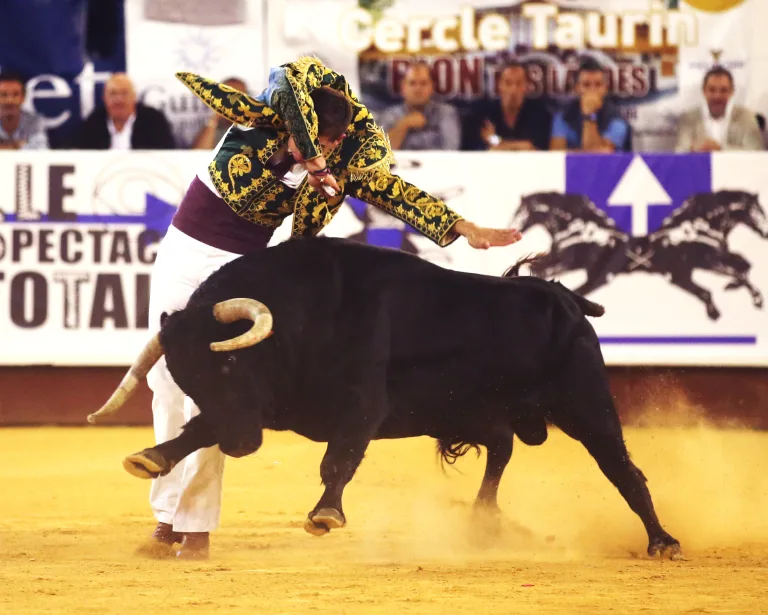 Photo de Spectacle Landes Emotions