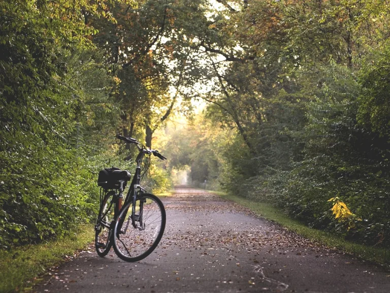 Photo de Sortie vélo entre Ondres et la Digue