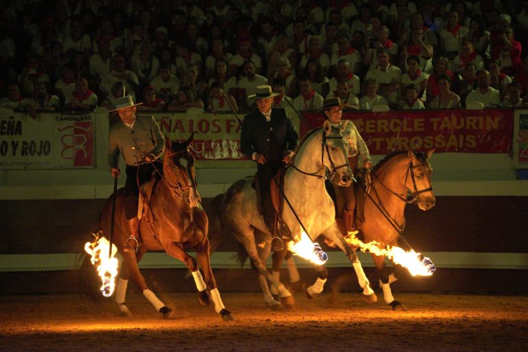 Photo de Spectacle Landes Emotions