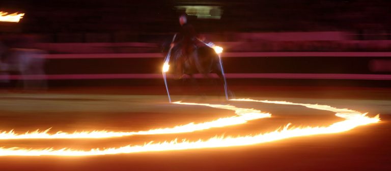 Photo de Spectacle Landes Emotions