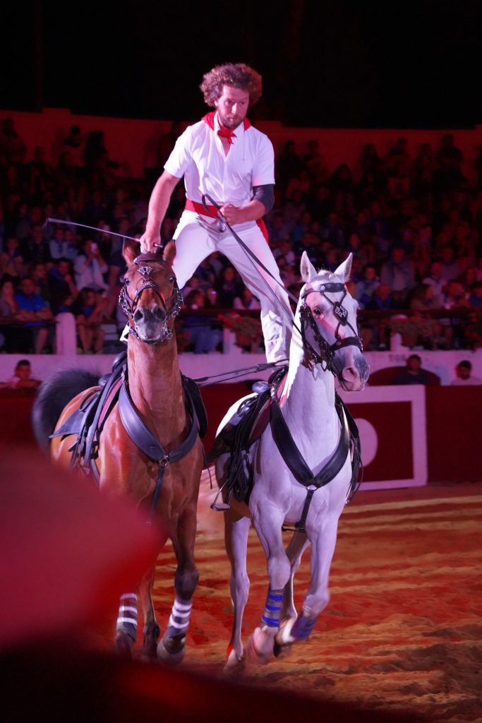 Photo de Spectacle Landes Emotions