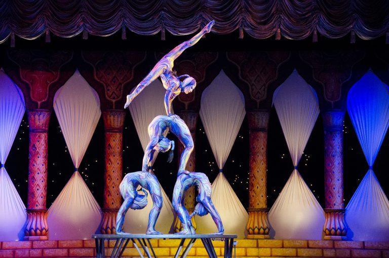 Photo de Stage de Cirque