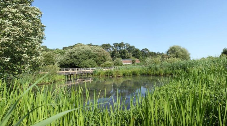 Photo de Découverte du Marais d’Orx