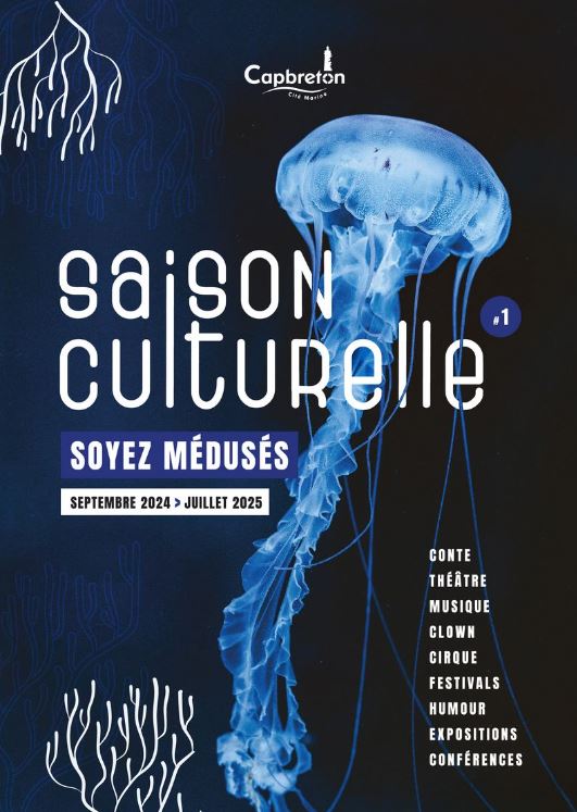 Photo de Saison culturelle de Capbreton #1 : Sortie culturelle, A simple space – compagnie gravity et other myths