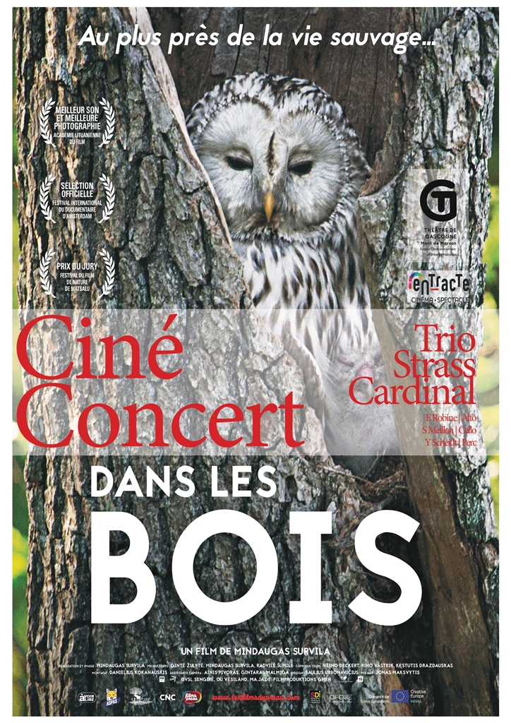 Photo de Ciné-concert – Cie Le Limaçon – « Dans les bois »