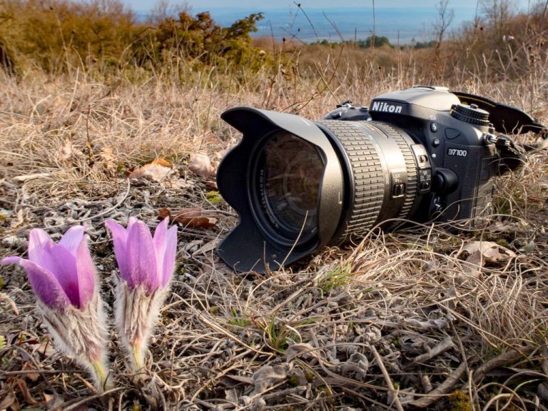 Photo de Exposition photo « Objectif Saint-Martin »