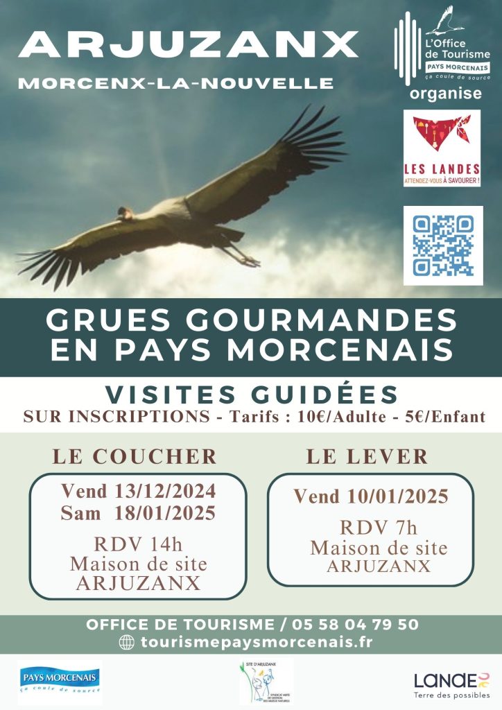 Photo de Les grues gourmandes en Pays Morcenais – Le lever COMPLET