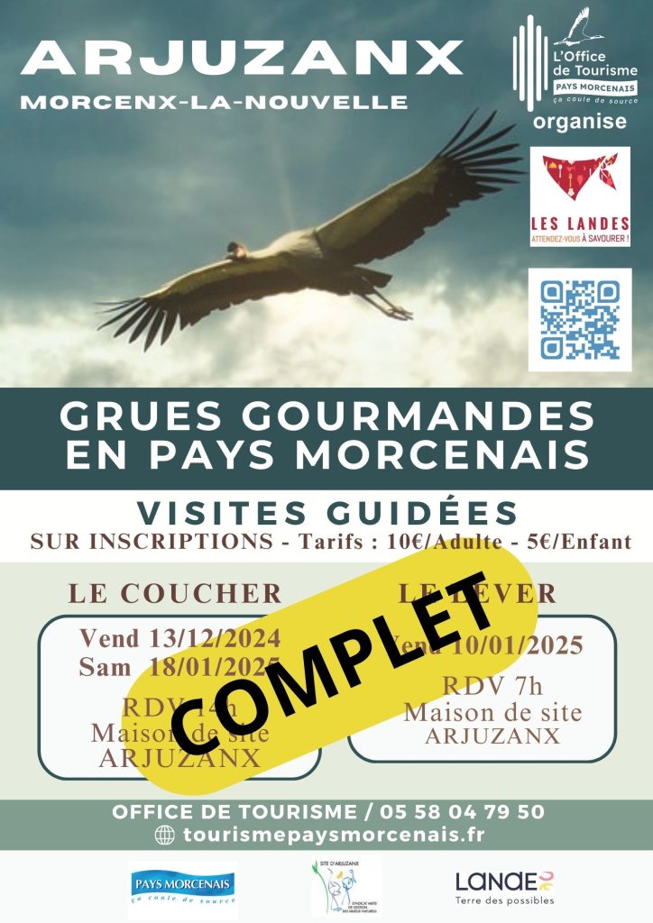 Photo de Les grues gourmandes en Pays Morcenais – Le lever COMPLET