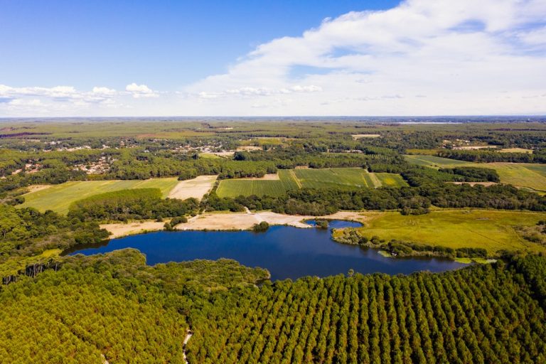 Photo de Journée mondiale des zones humides – Sortie nature autour de l’étang