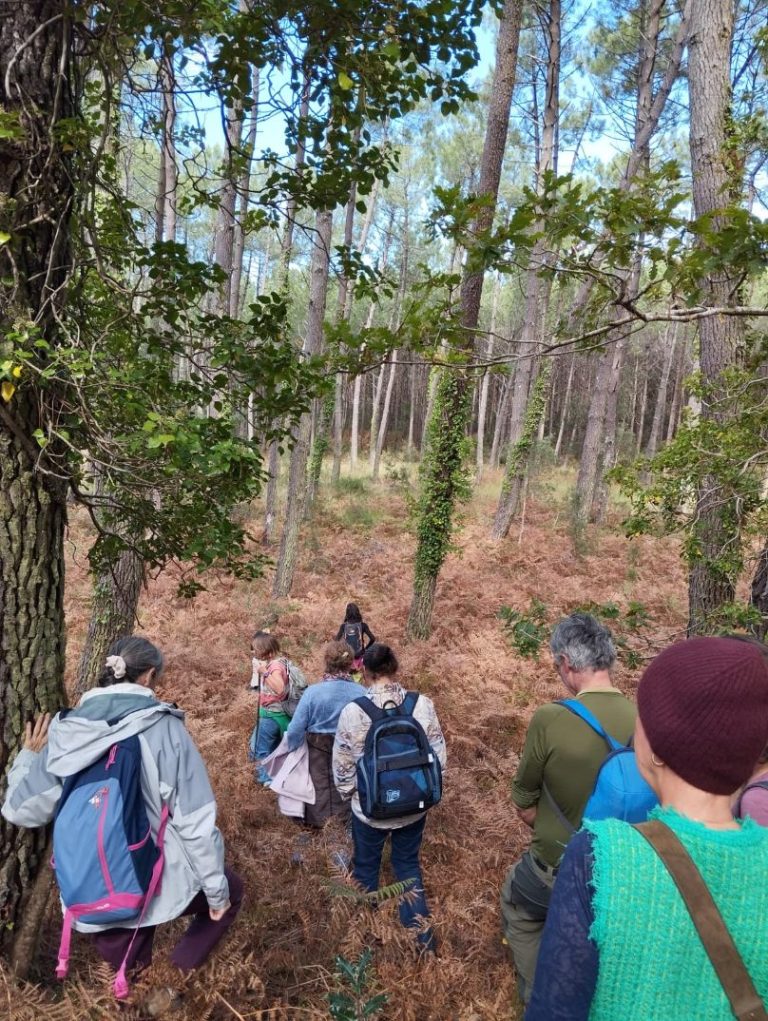 Photo de Bain de forêt, quiétude et nature