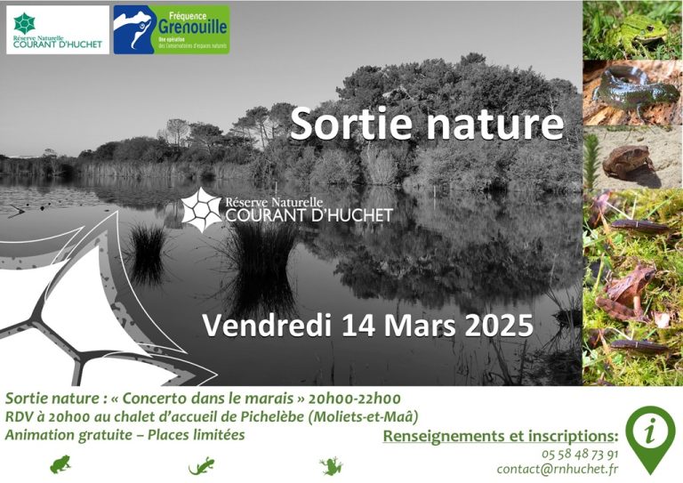 Photo de Sortie nature « concerto dans le marais »