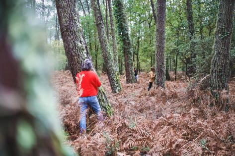 Photo de Bain de forêt, quiétude et nature