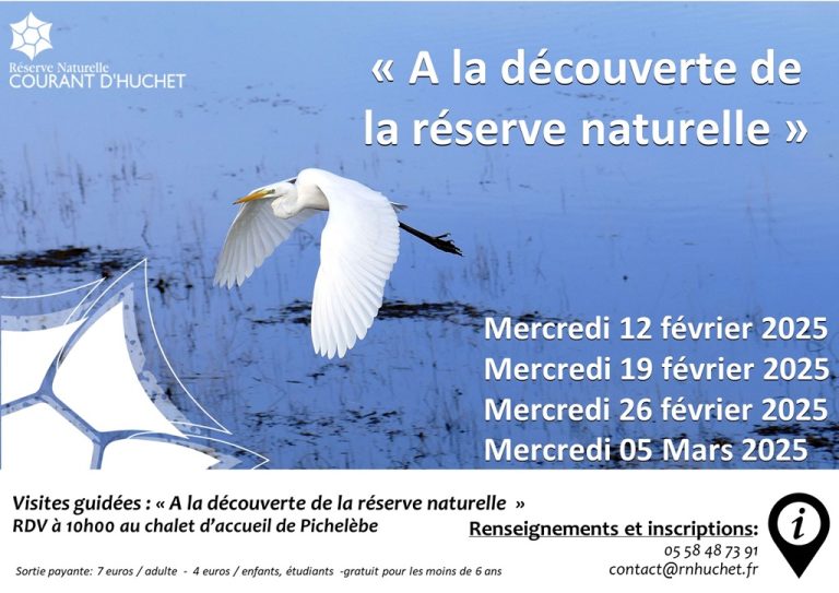 Photo de Partez à la découverte de la Réserve Naturelle du Courant d’Huchet