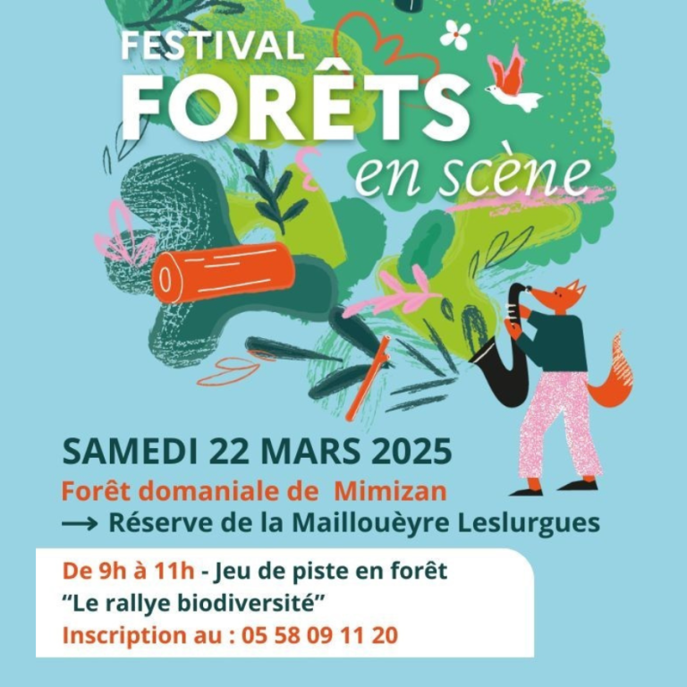 Photo de Fêtez la journée internationale des forêts  ! « Le rallye de la biodiversité »